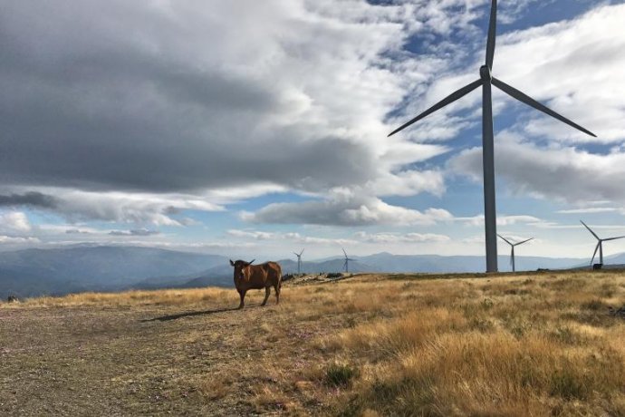 Serra da Freita, um encanto mágico 